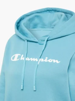 Champion Hoodie -Kleidung Geschäft 2085511 H3