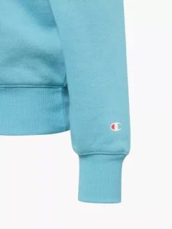 Champion Hoodie -Kleidung Geschäft 2085511 H4