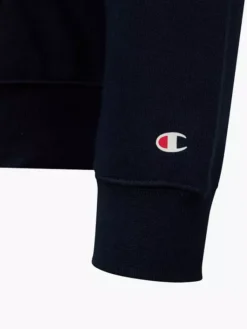 Champion Hoodie -Kleidung Geschäft 2085591 H4