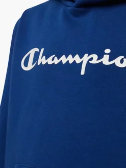Champion Hoodie -Kleidung Geschäft 2085822 H3