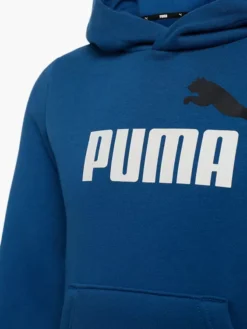 Puma Hoodie -Kleidung Geschäft 2088022 H4
