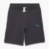 Puma Shorts