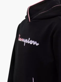 Champion Hoodie 8 Champion Hoodie -Kleidung Geschäft 2180543 H3
