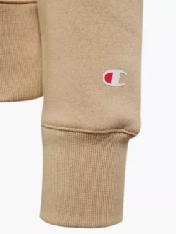 Champion Hoodie -Kleidung Geschäft 2180646 H3