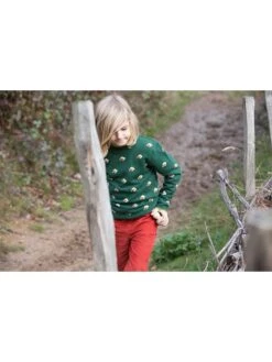 Pullover "From One To Another" In Grün 15 Pullover "From One To Another" In Grün -Kleidung Geschäft little green radicals pullover from one to another in grun 7